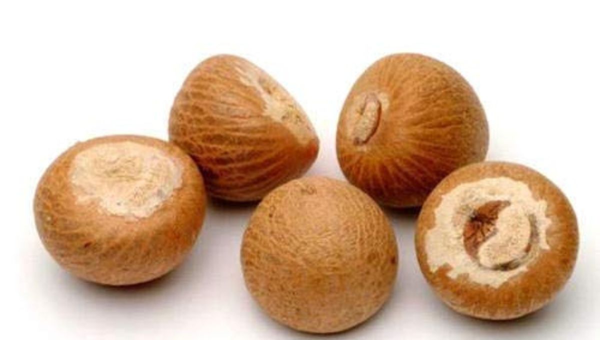 Chhath Puja 2025 में अर्पित किए जाने वाले खास फल और पूजा सामग्री