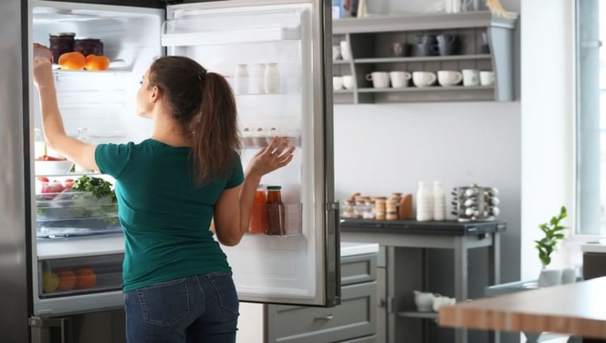 New fridge buying guide with essential refrigerator features